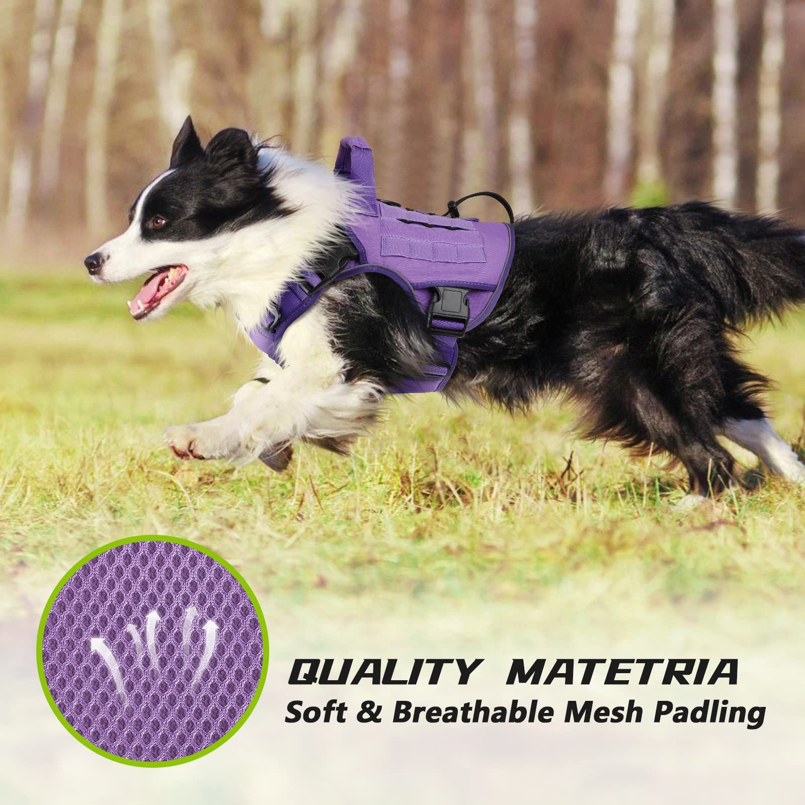 WINGOIN purple tactical harness with handle and two D-rings for control