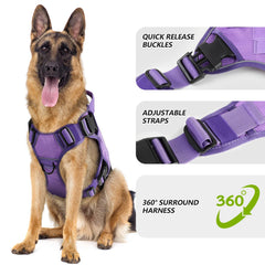 Wingoin purple harness with handle and D-rings for better training and control.