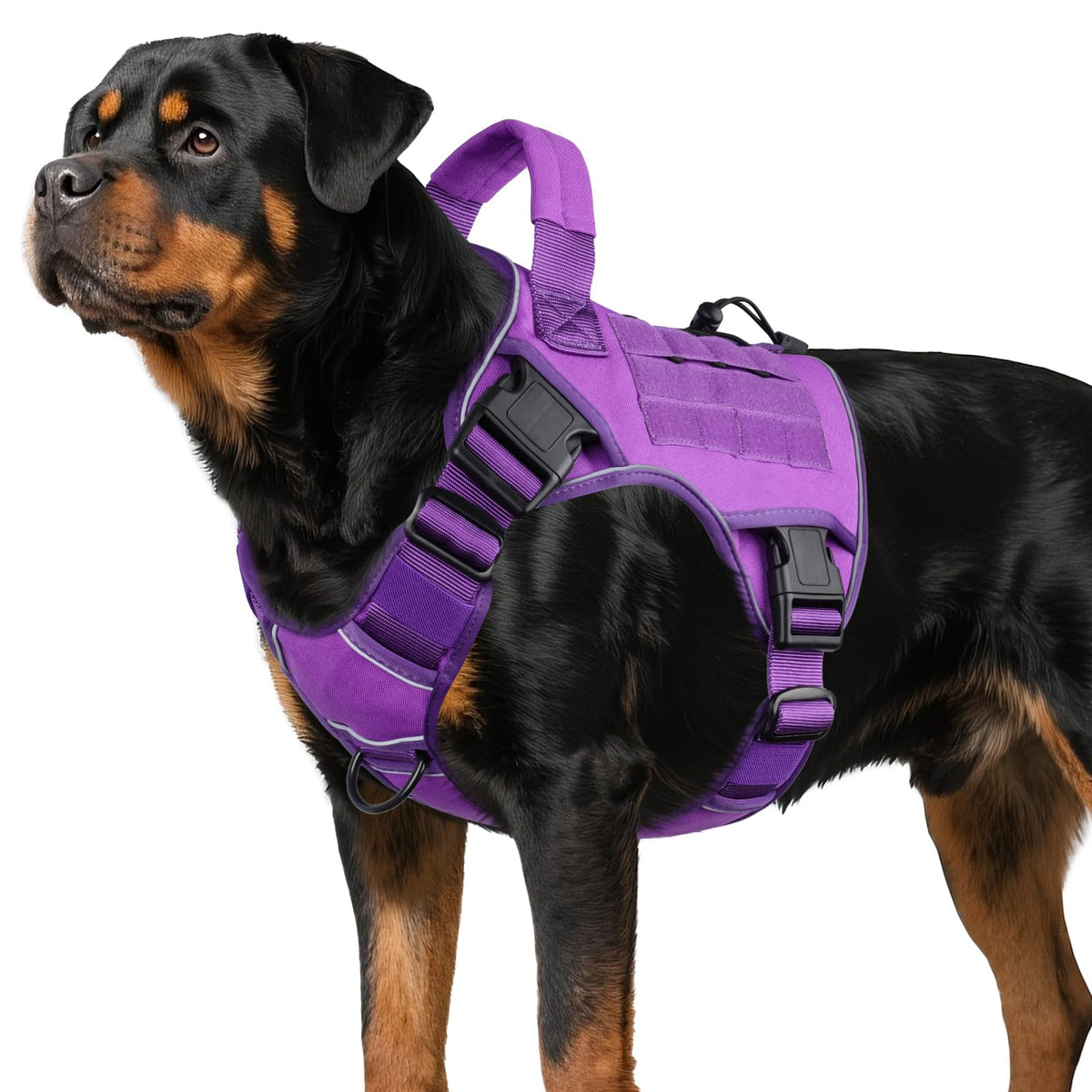 WINGOIN purple tactical dog harness side view with no-pull design for easier walks