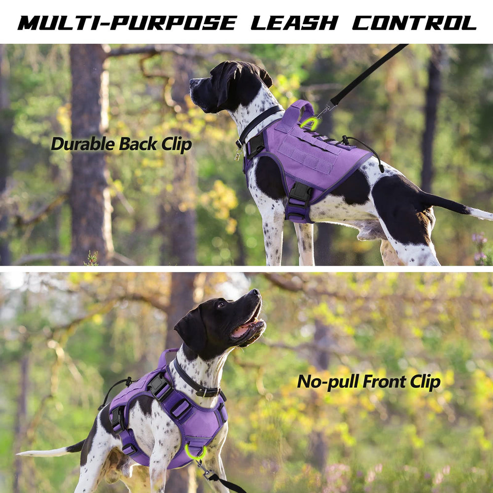 WINGOIN Reflective Strip Harness increases visibility during evening walks