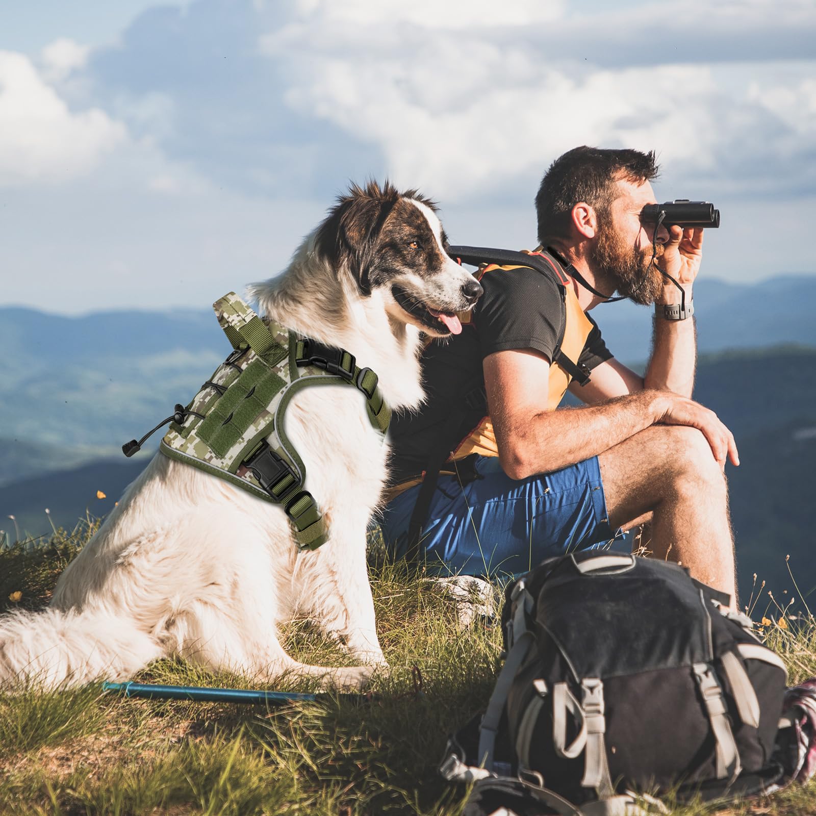 WINGOIN reflective strip dog harness designed for evening visibility