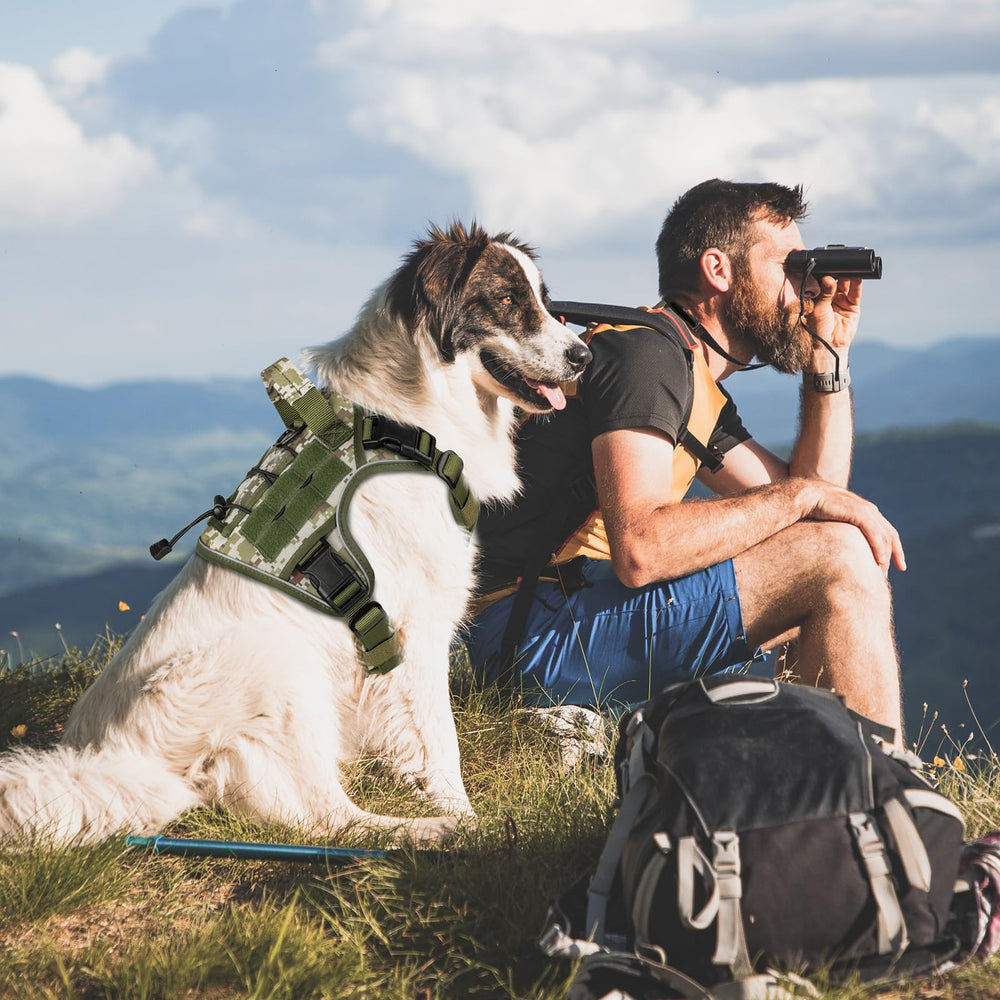 WINGOIN reflective strip dog harness designed for evening visibility