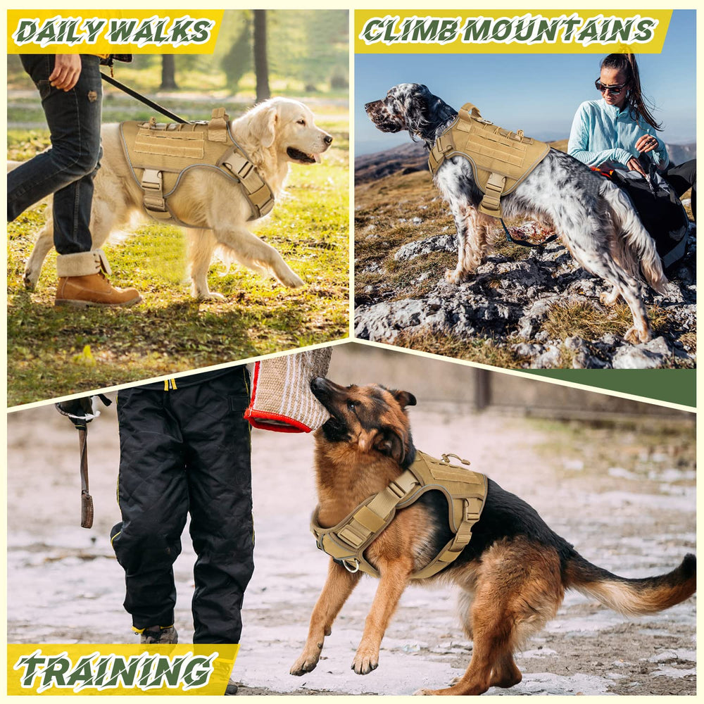WINGOIN reflective strip harness improves visibility during evening walks.