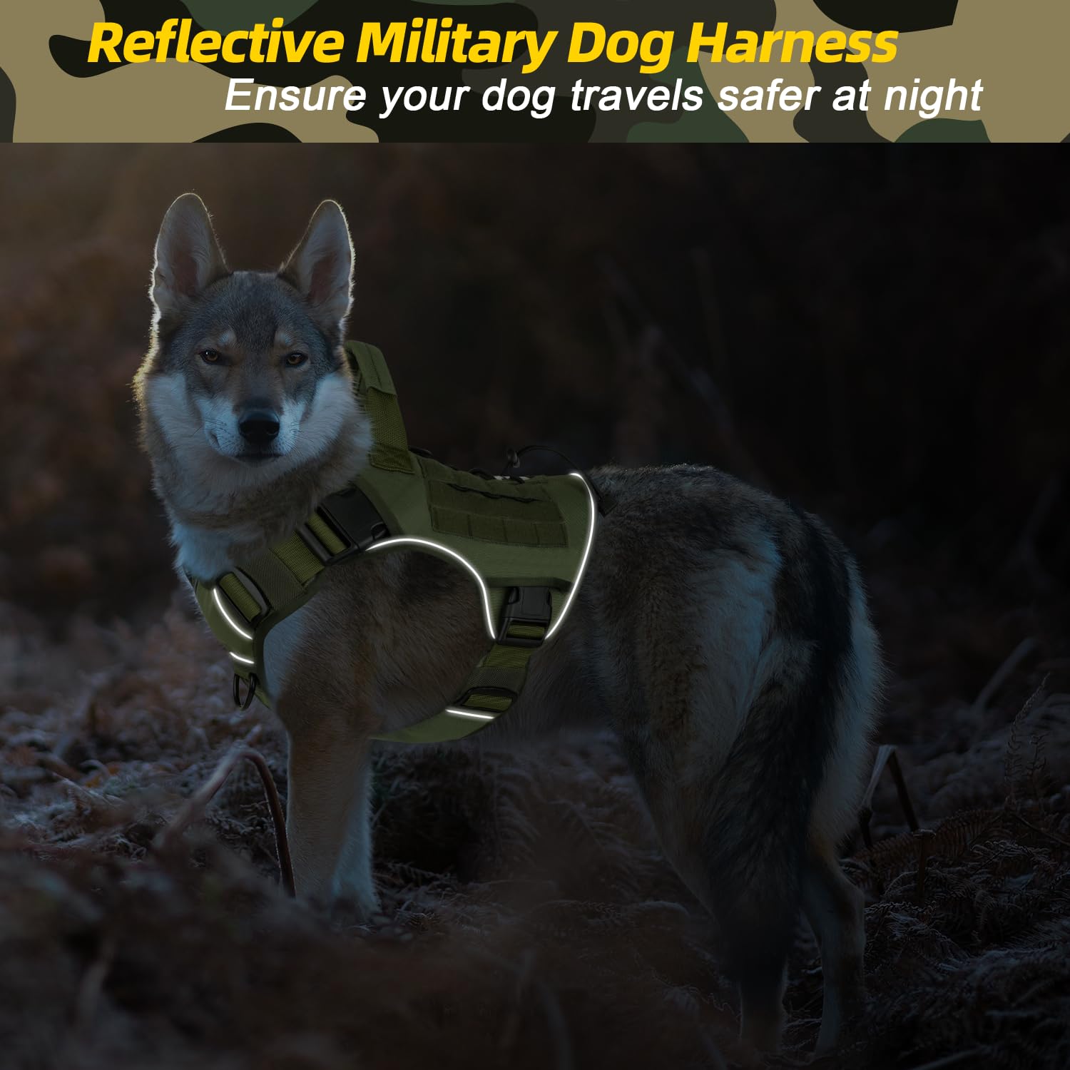 WINGOIN reflective strip enhances visibility during dusk walks