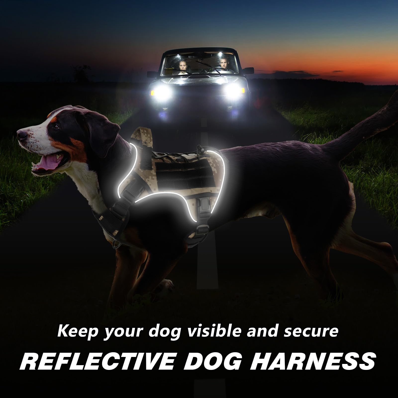 WINGOIN reflective strip harness improves visibility during night walks