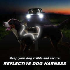 WINGOIN reflective strip harness improves visibility during night walks