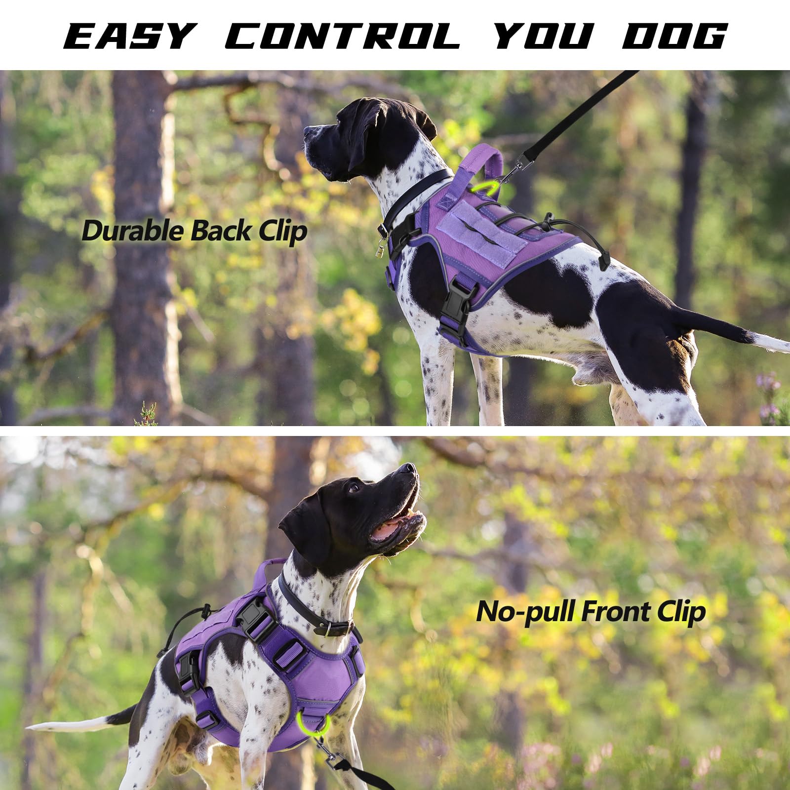 Wingoin side-entry quick-release harness for fast on-off convenience.