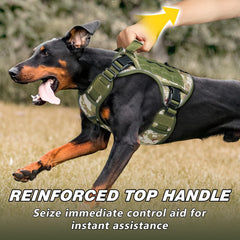 Wingoin harness with D-rings for leash control and training use