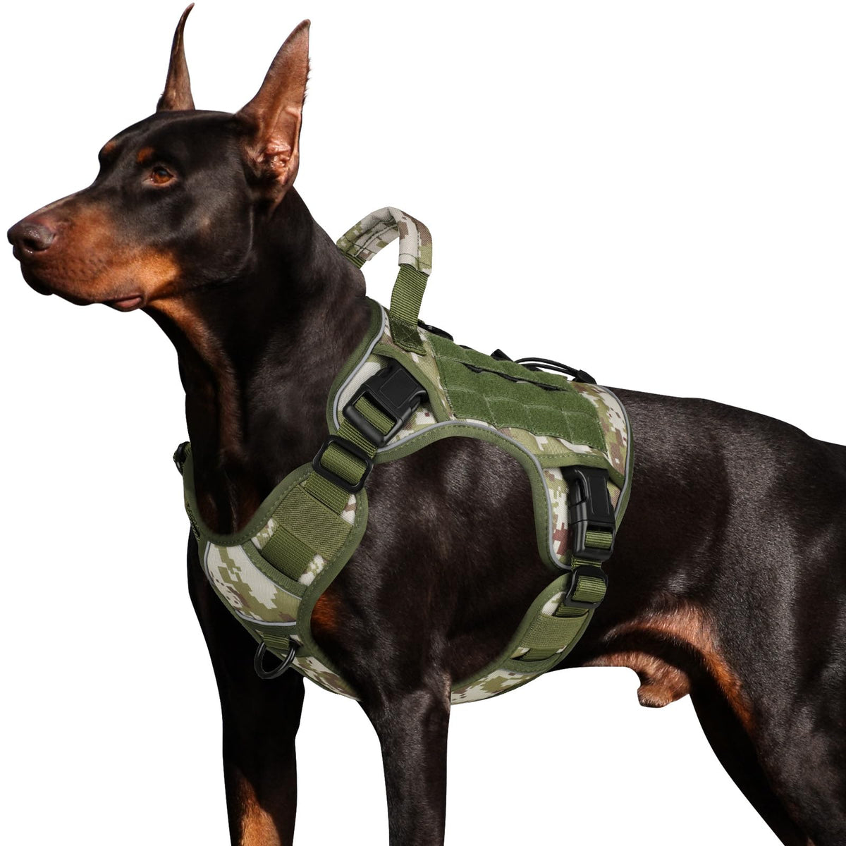 Wingoin tactical harness front view on large dog showing secure fit in green camo