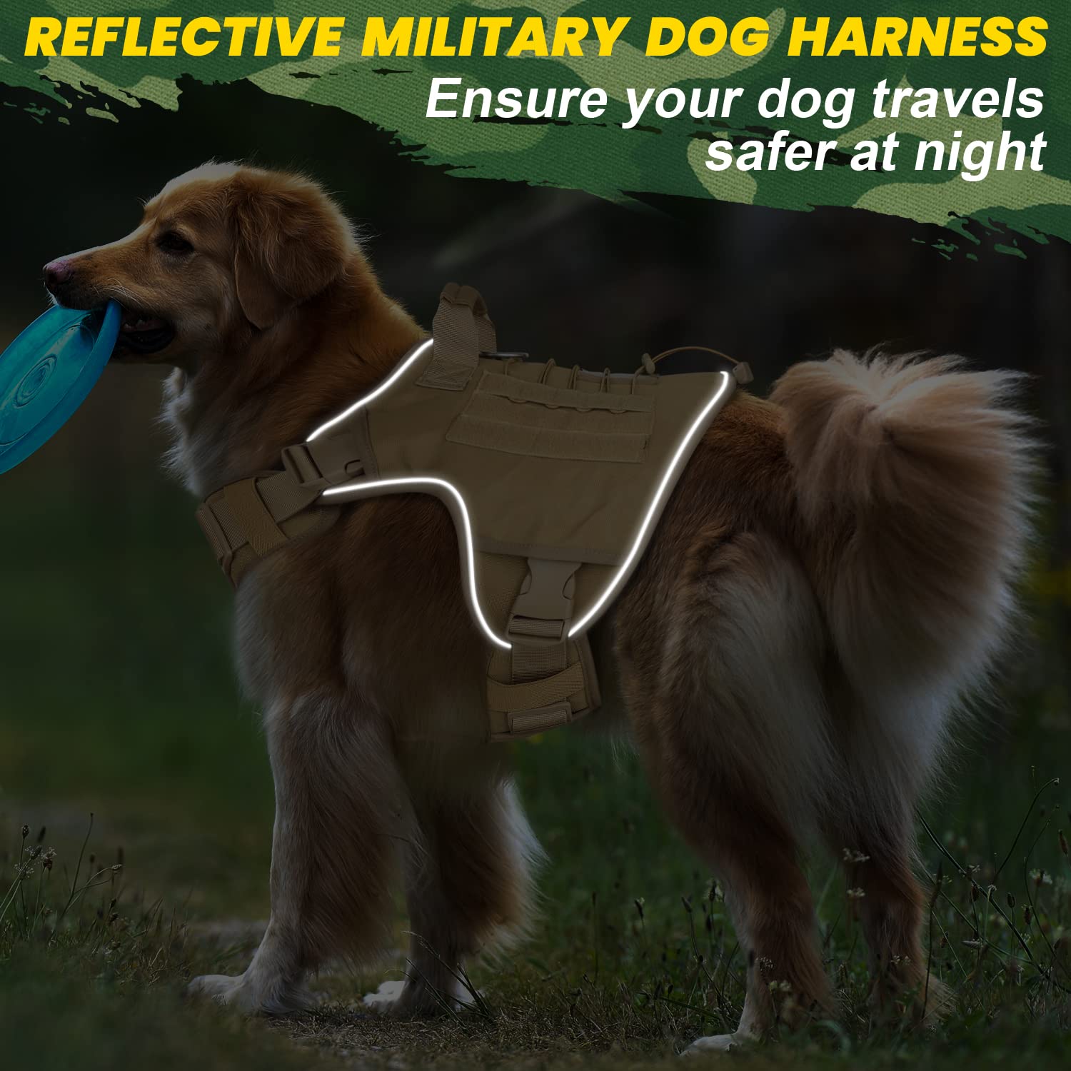 WINGOIN Tactical Harness handle close-up, secure leash control