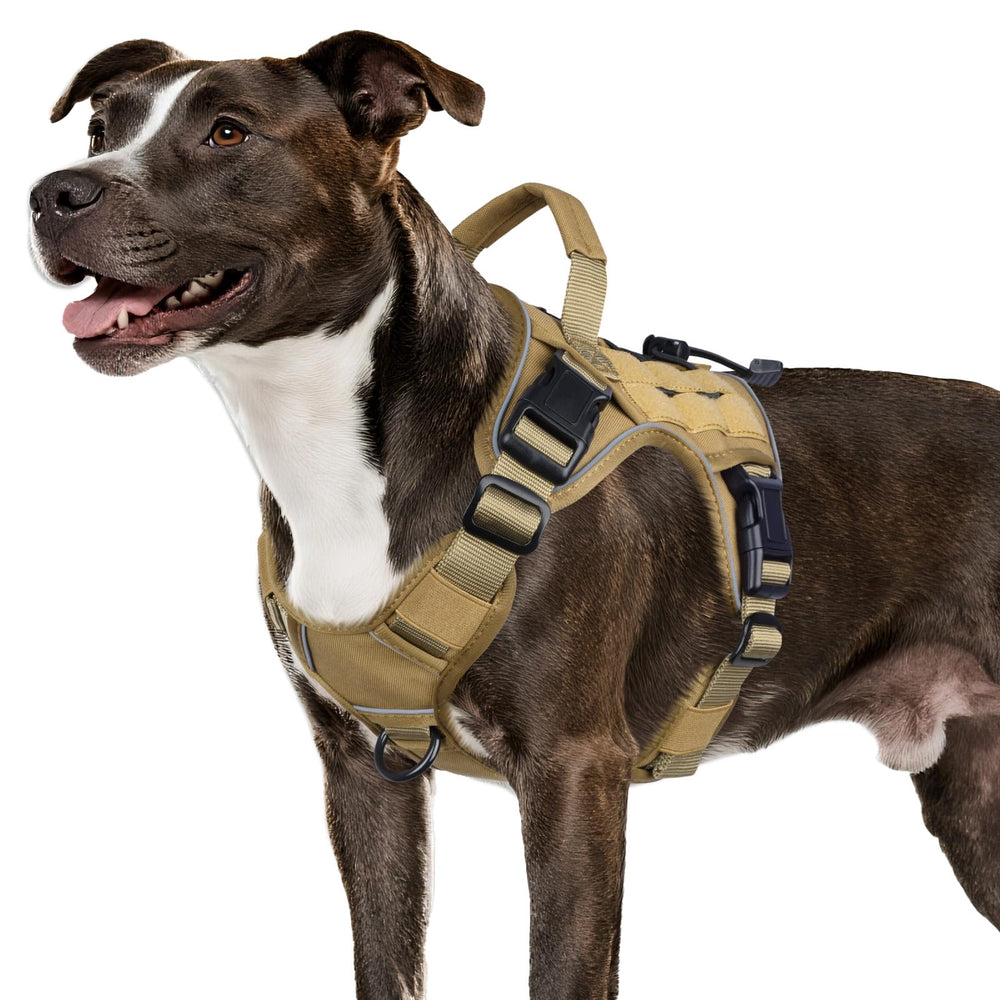 WINGOIN tactical dog harness medium fit for daily walks and hiking
