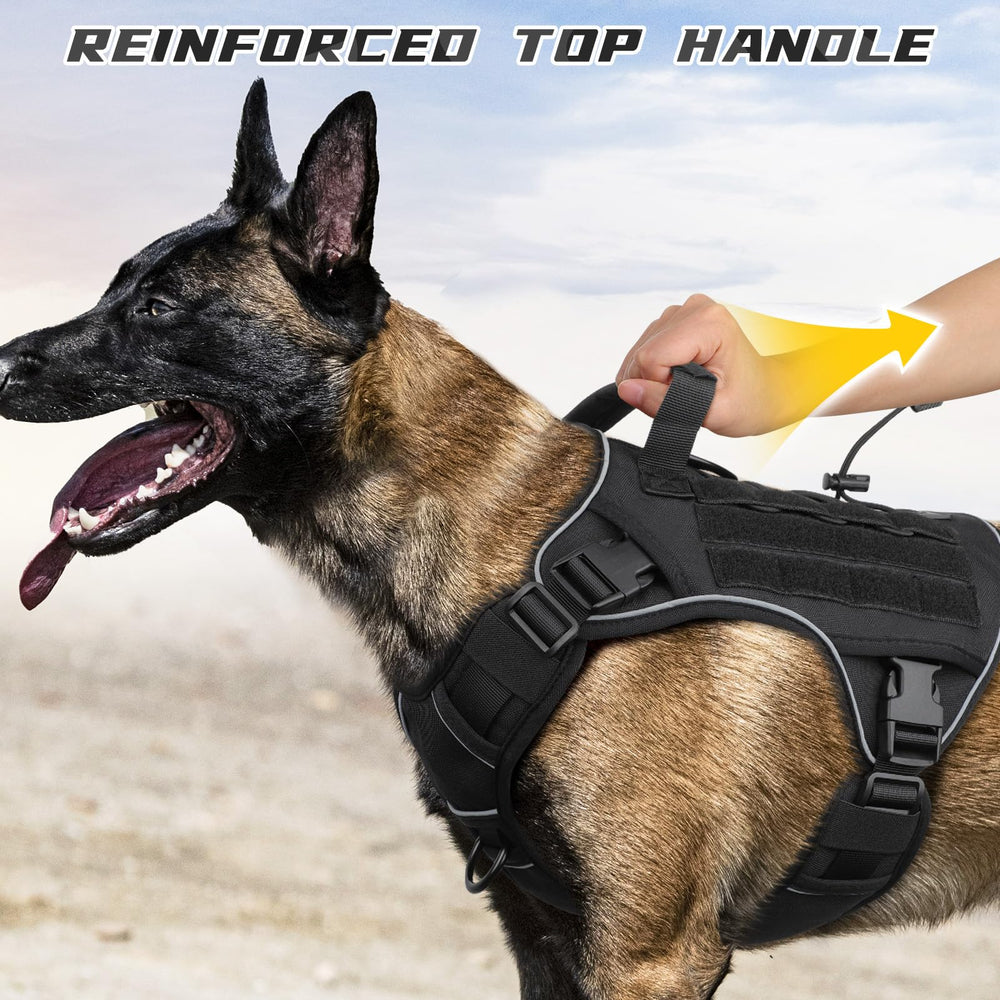 Wingoin harness reflective strip enhances visibility in low light