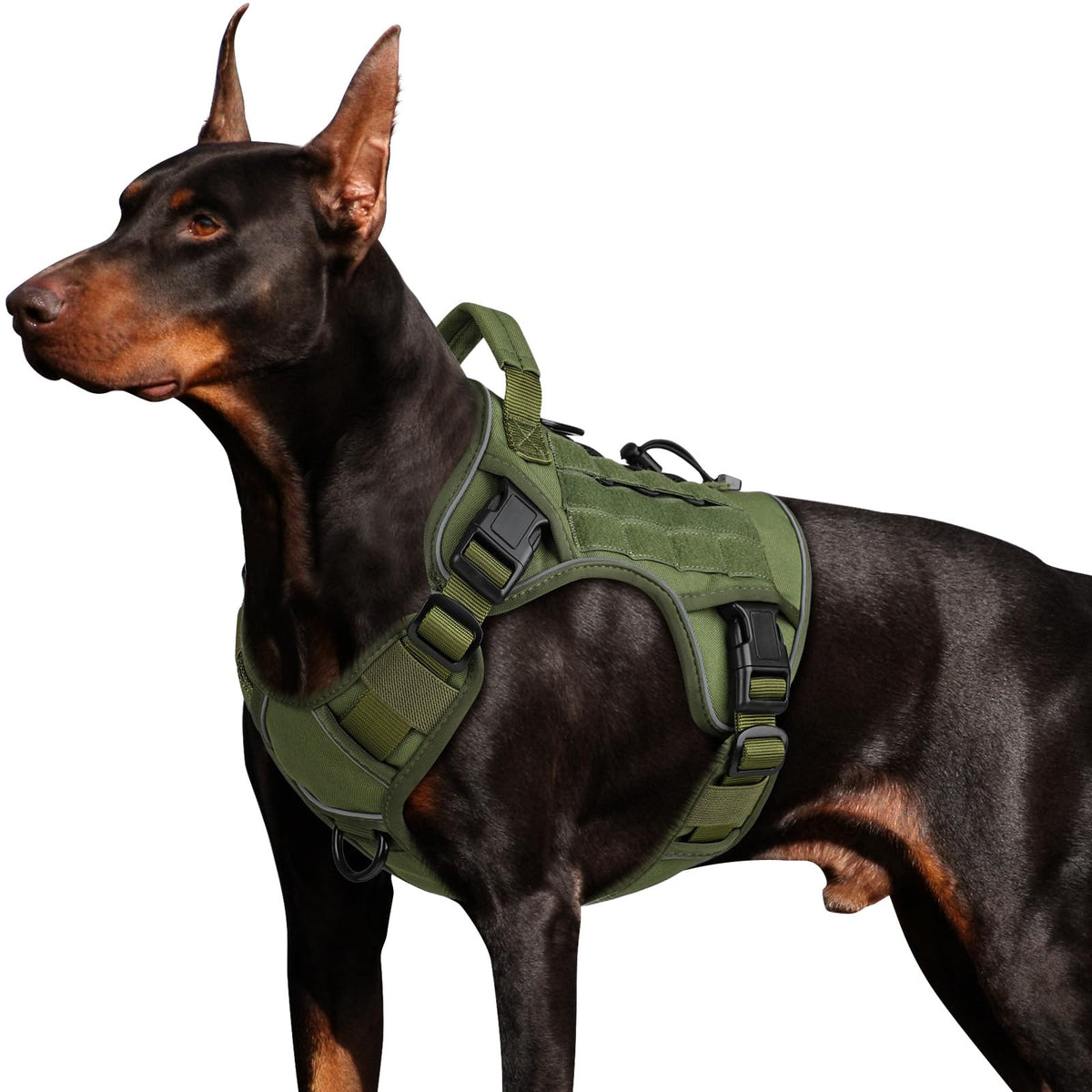 WINGOIN tactical dog harness side-entry design with quick-release buckles for easy on-off