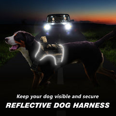 Wingoin harness small camo reflective strip enhances visibility for evening strolls