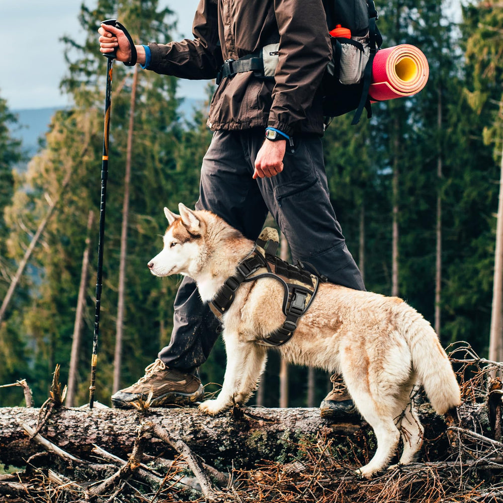Wingoin harness small camo breathable mesh interior keeps pet comfy during activities