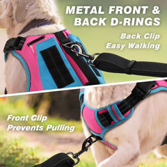 Wingoin harness with sturdy back handle for quick control