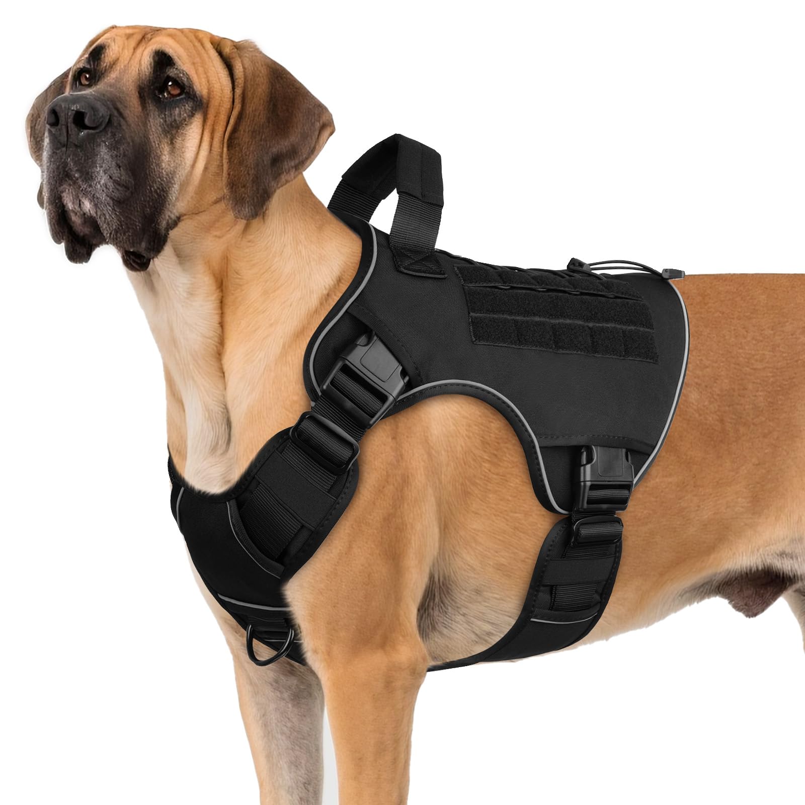 Wingoin Tactical Harness front view shows rugged 1000D nylon durability for large breeds