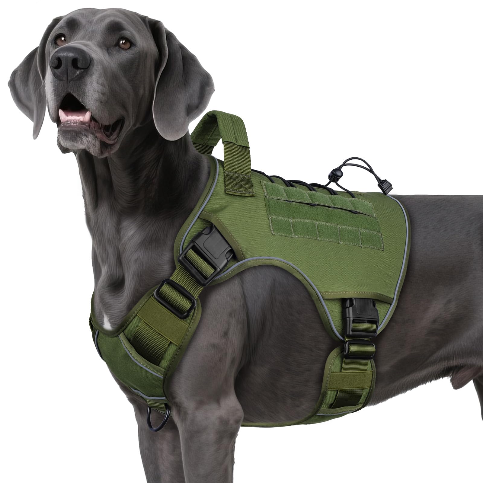 WINGOIN tactical harness XXL overview for large breeds with durable construction
