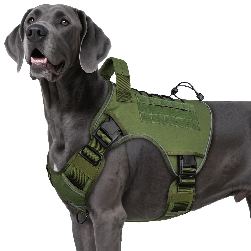 WINGOIN tactical harness XXL overview for large breeds with durable construction