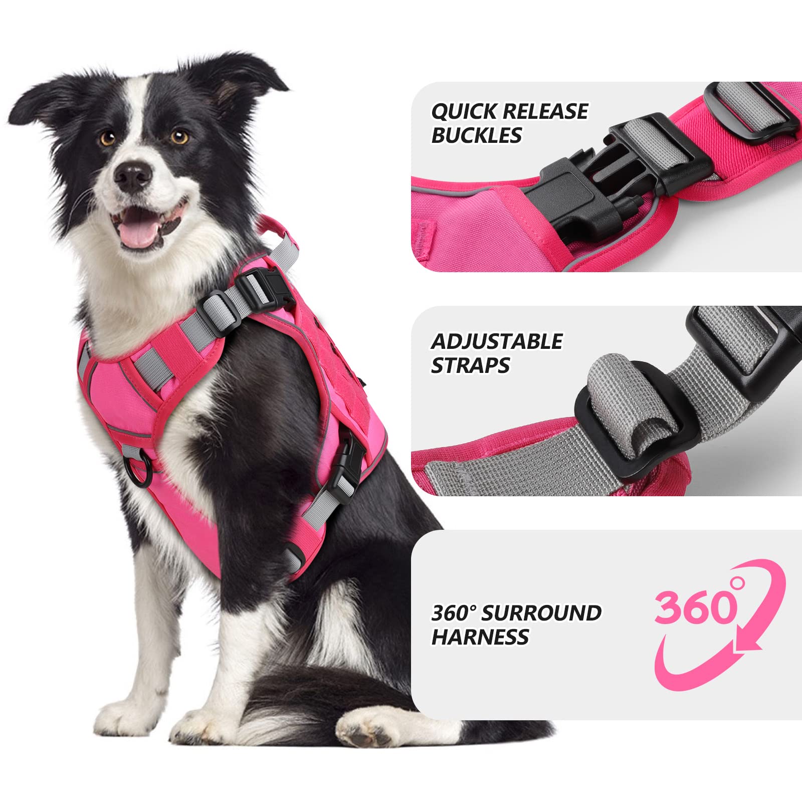WINGOIN harness side-entry buckle enables quick on off during walks