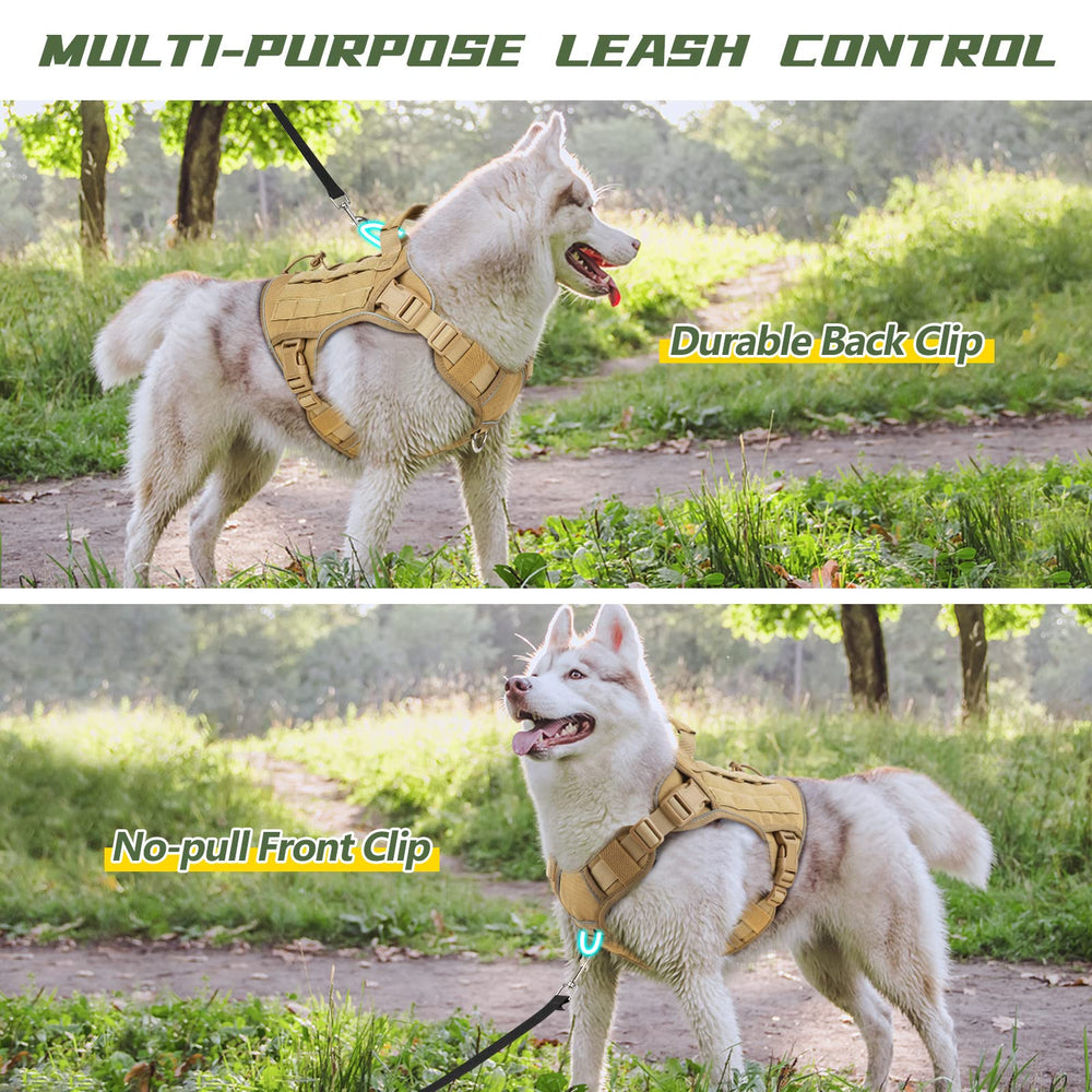 WINGOIN harness with two stainless steel D-rings supports controlled training and walking.