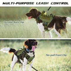 WINGOIN XXL no-pull harness with quick-release buckles supports easy fitting