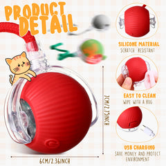 WinnerWhy six-pack red cat ball toy promotes curiosity and movement.