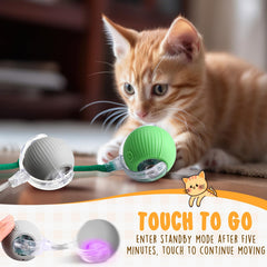 WinnerWhy rolling ball toy demonstrates autonomous movement for pets.