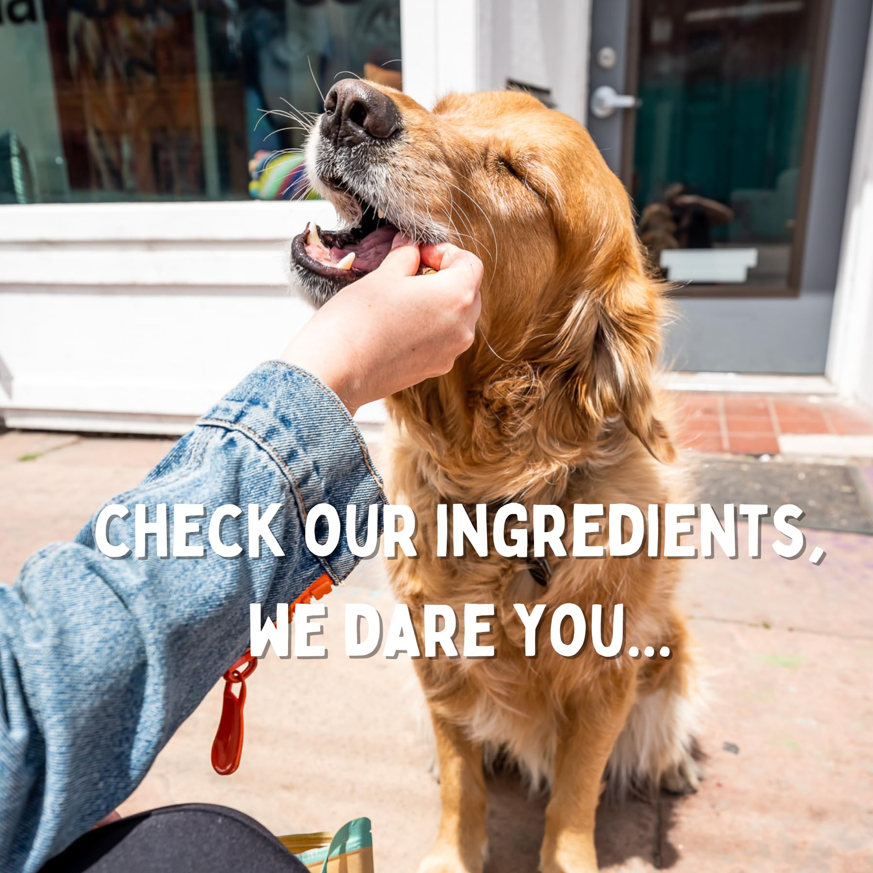 Winnie Lou Bison Burger Treats USA-made chews ensure quality control.