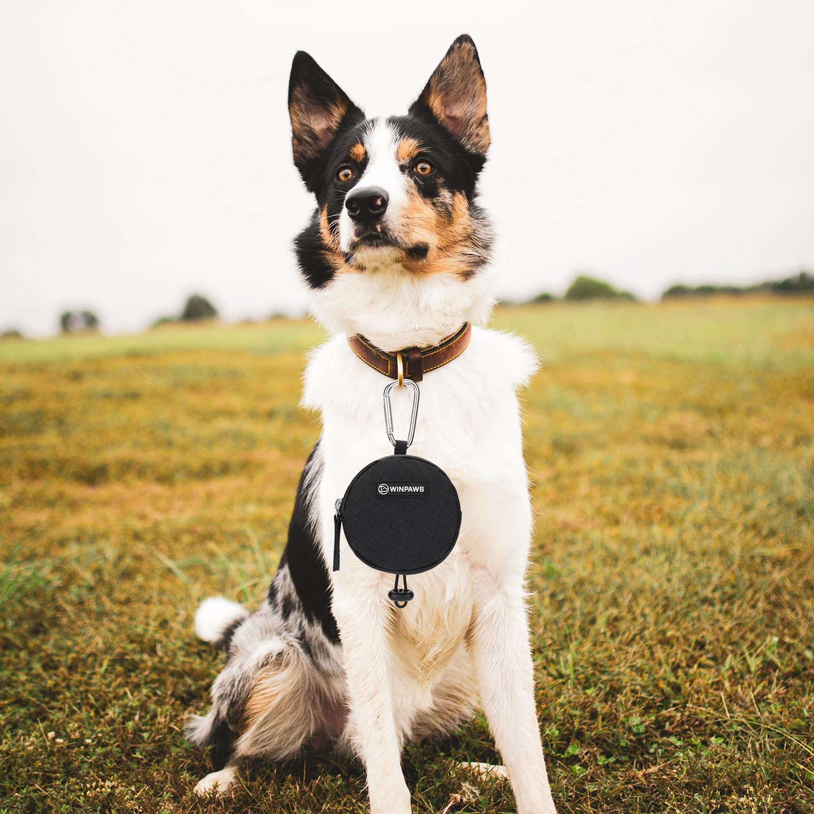 WINPAWS airtight zipper locks in freshness for treats.