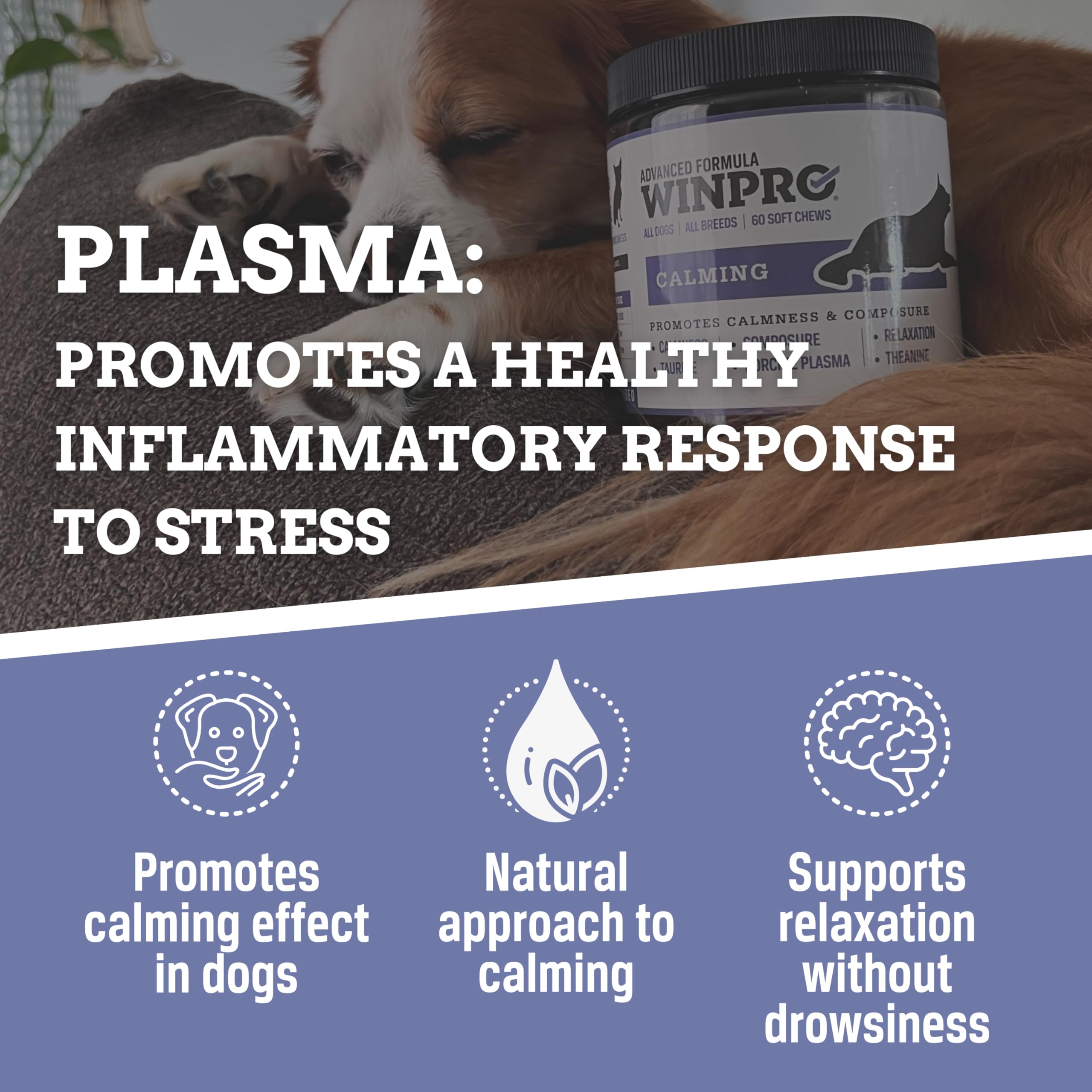 WINPRO Calming Chews soft texture ideal for easy chewing.
