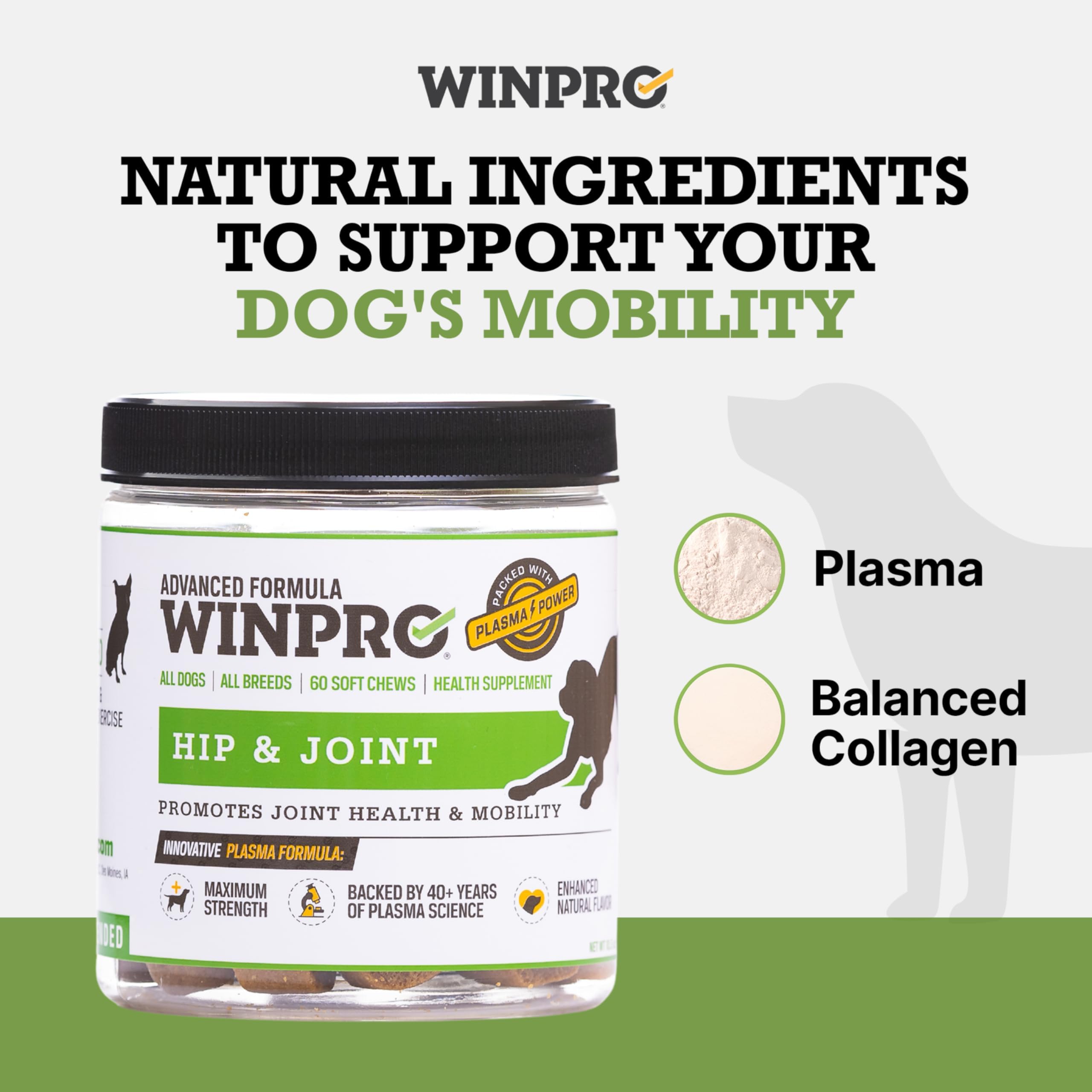WINPRO collagen soft chews closeup texture highlights tasty, grain-free formula for daily use.