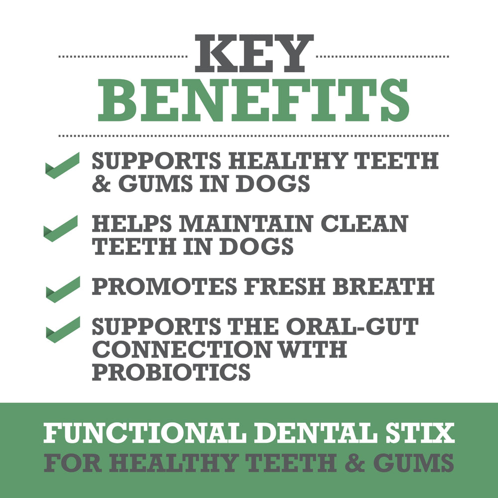 WINPRO Dental Stix in hand to show convenient, ready-to-serve dental care for dogs.
