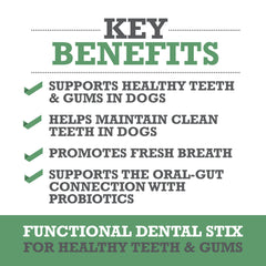 WINPRO Dental Stix in hand to show convenient, ready-to-serve dental care for dogs.