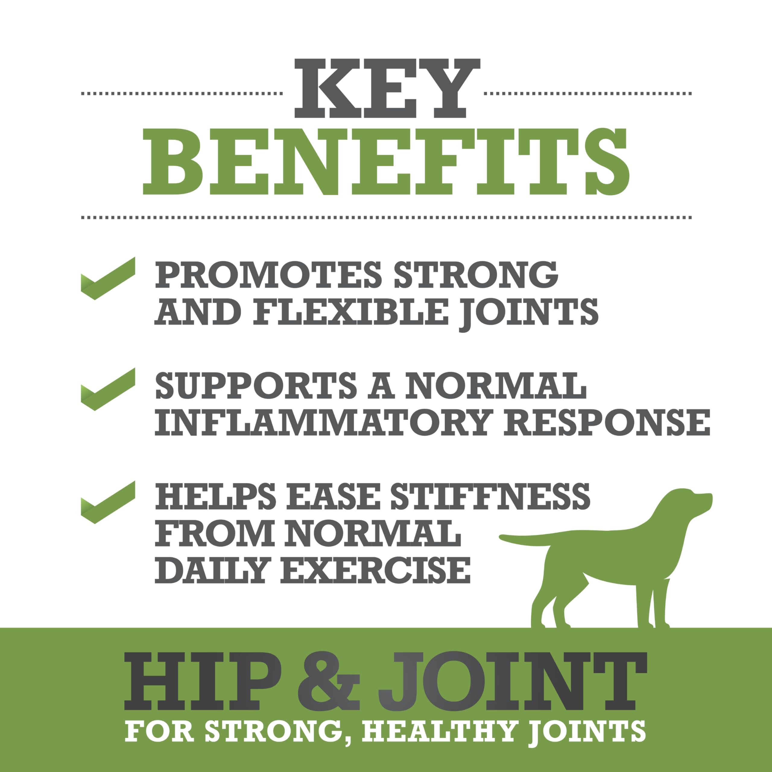 WINPRO dog joint soft chews serving dish shows daily serving for active dogs.