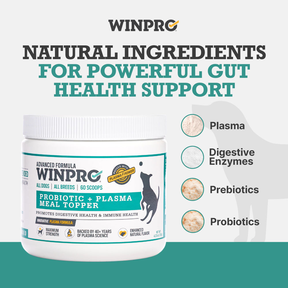 WINPRO Dog Probiotic Powder in bowl with kibble suggests seamless meal enhancement.