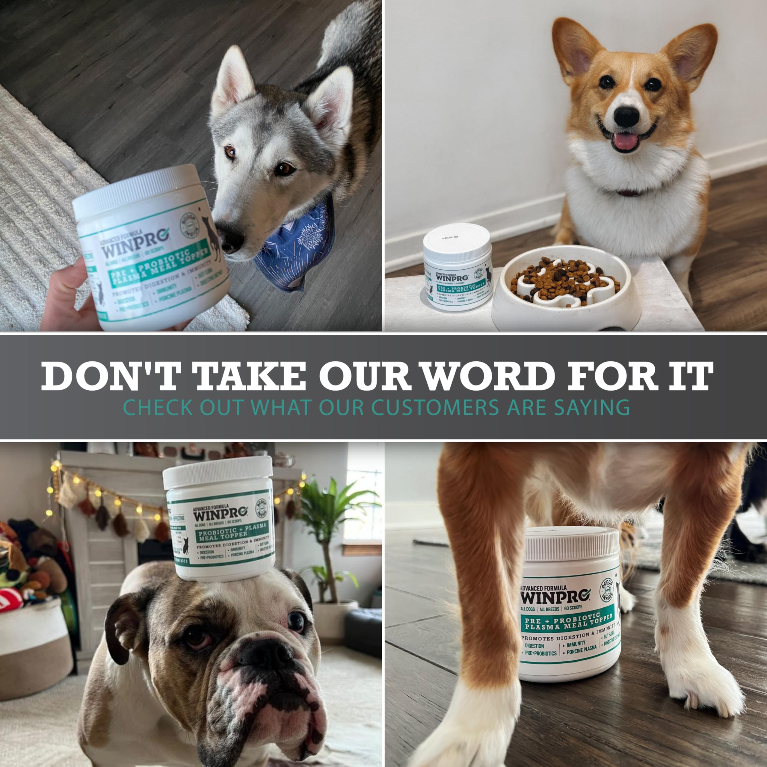 WINPRO Dog Probiotic Powder being sprinkled over food demonstrates easy adoption into routines.