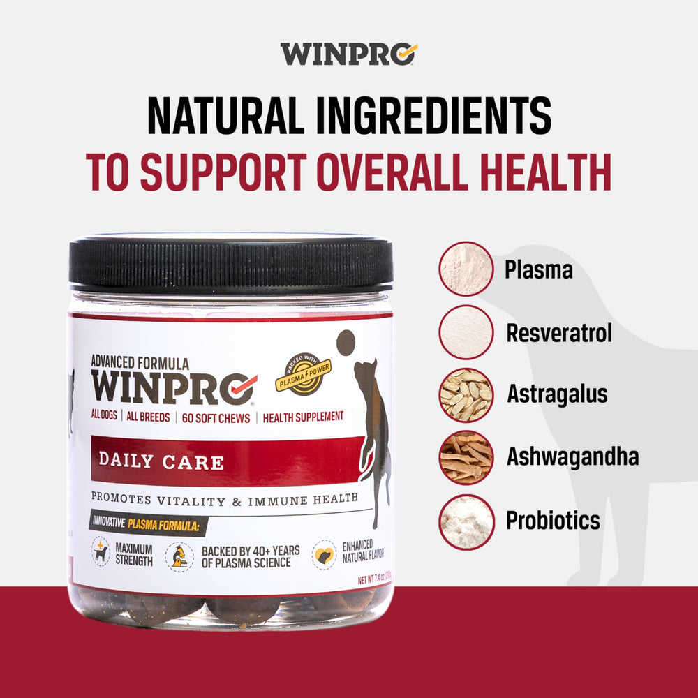 Close view of WINPRO soft chews with savory appearance