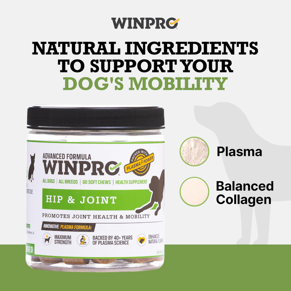 WINPRO plasma formula bottle may support a healthy inflammatory response during activity.