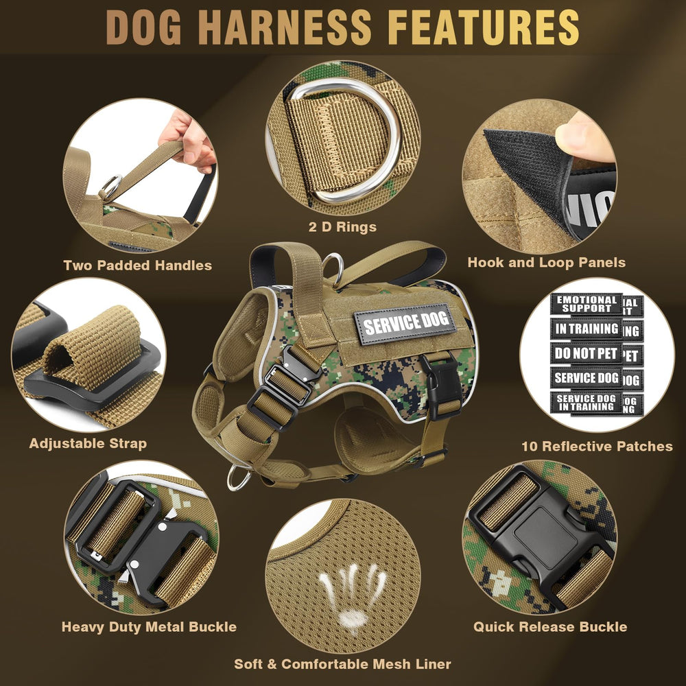 WINSEE 2x D-Rings offer versatile leash attachment options.