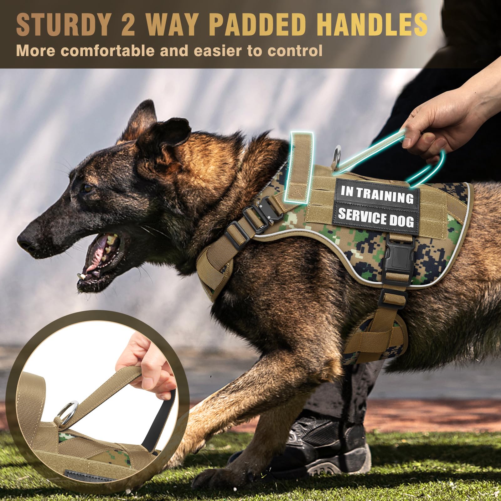 WINSEE 2x Metal Shoulder Buckles provide strong restraint.