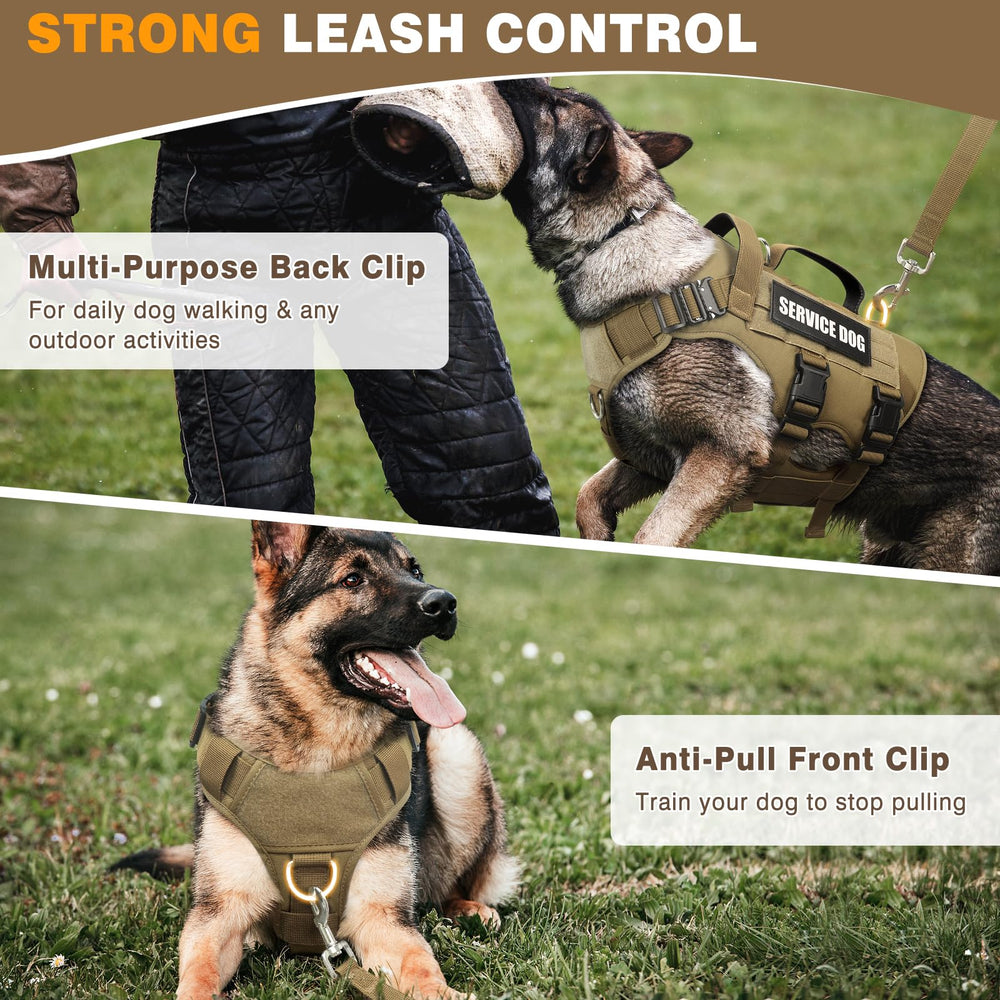 WINSEE vest offers 3 D-rings for versatile leash options.
