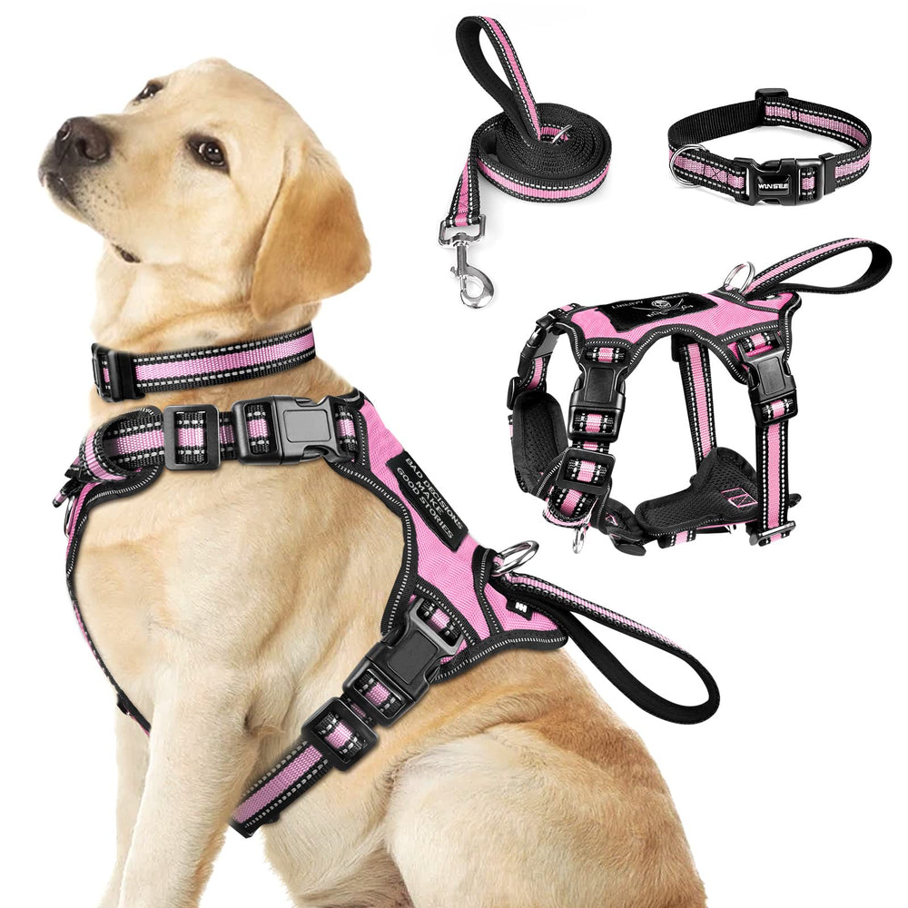 WINSEE 3-in-1 harness with reflective front clip for safe dusk walks.