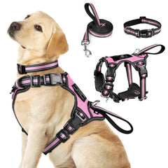WINSEE 3-in-1 harness with reflective front clip for safe dusk walks.