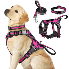 WINSEE 3in1 harness-collar-leash for secure daily walks.