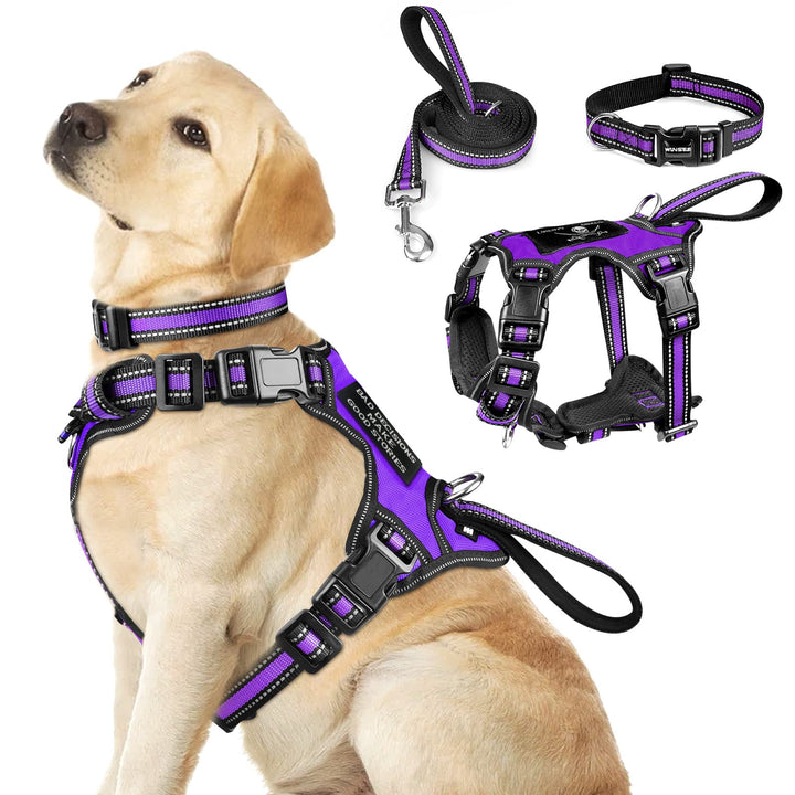 Winsee 3-in-1 harness front view showing reflective details for safer night strolls.