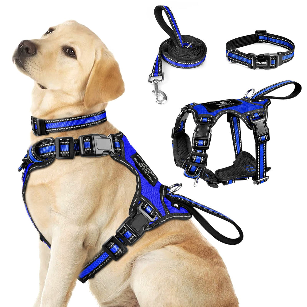 WINSEE 3in1 reflective dog harness for safe day and night walks.