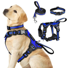 WINSEE 3in1 reflective dog harness for safe day and night walks.