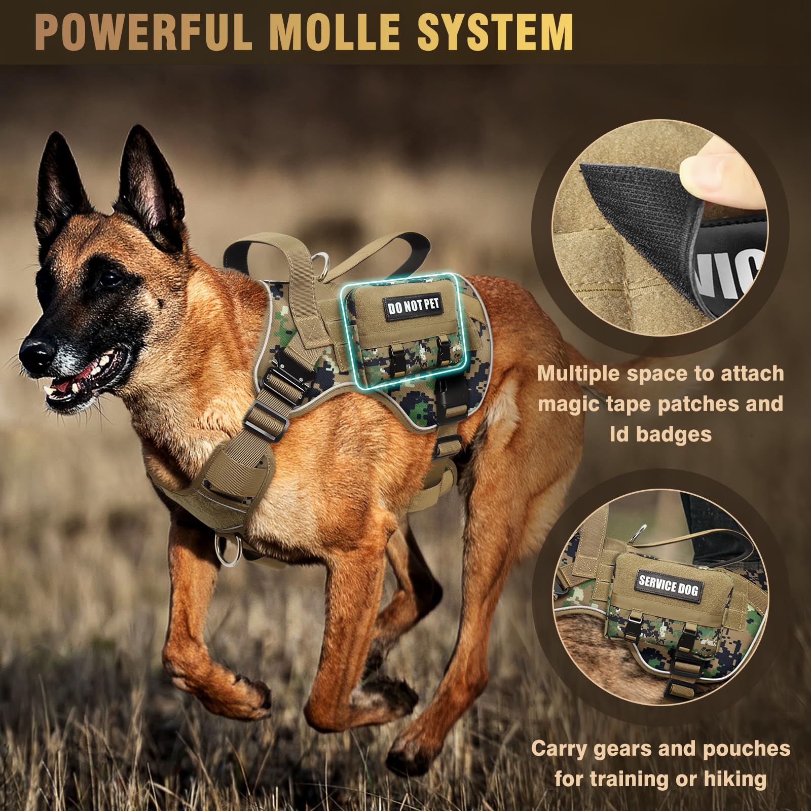 WINSEE Breathable air mesh keeps dogs cool during workouts.