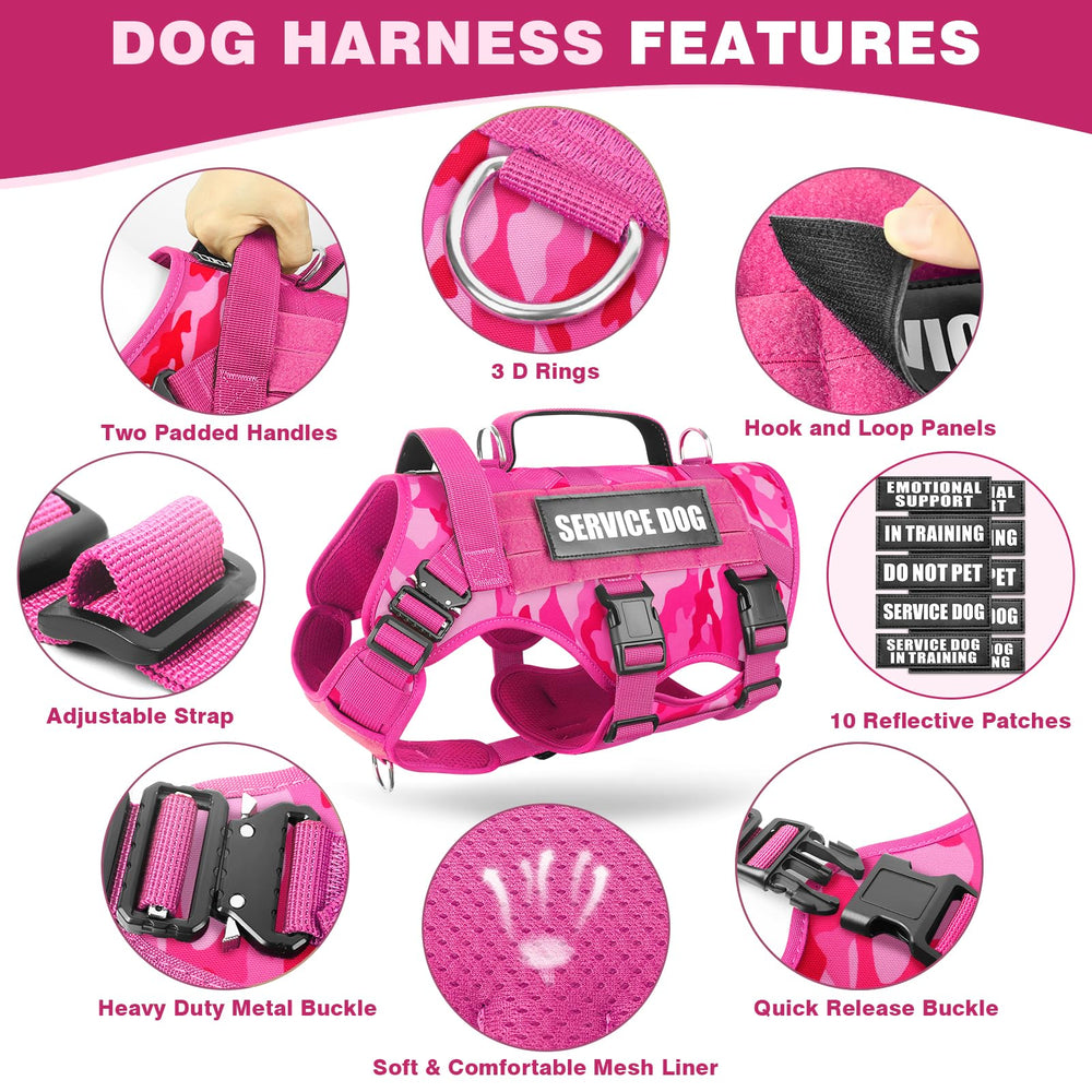 WINSEE three D-rings offer versatile leash attachment options for walks and hikes